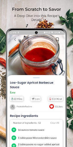 Sauce Recipes screenshot 4